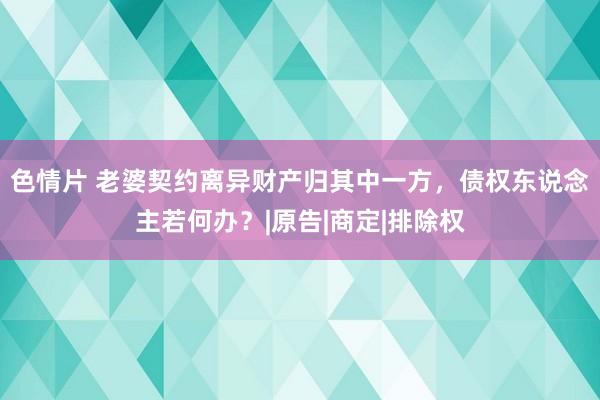 色情片 老婆契约离异财产归其中一方，债权东说念主若何办？|原告|商定|排除权