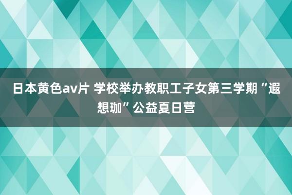 日本黄色av片 学校举办教职工子女第三学期“遐想珈”公益夏日营