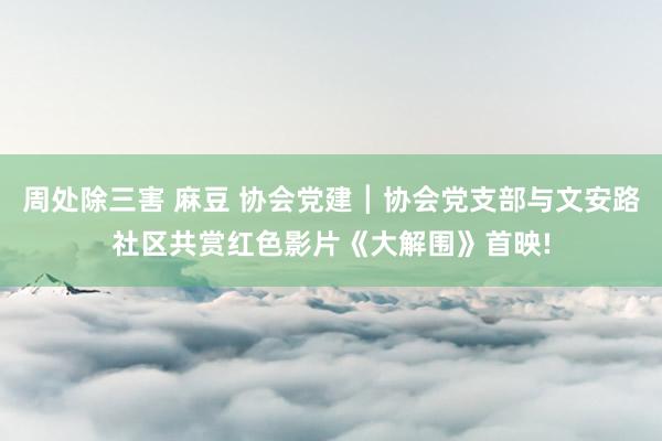 周处除三害 麻豆 协会党建┃协会党支部与文安路社区共赏红色影片《大解围》首映!