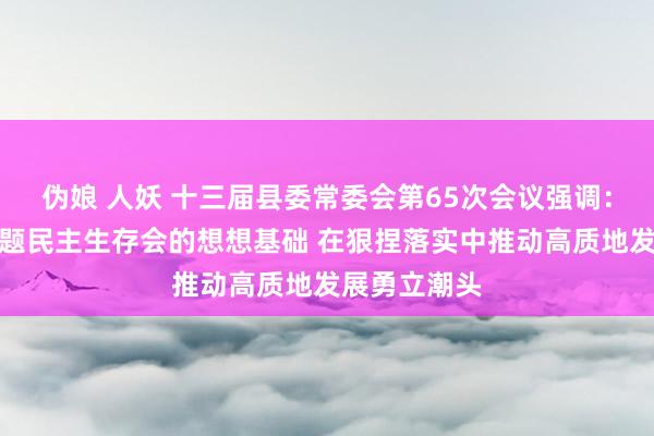 伪娘 人妖 十三届县委常委会第65次会议强调:夯实开好专题民主生存会的想想基础 在狠捏落实中推动高质地发展勇立潮头