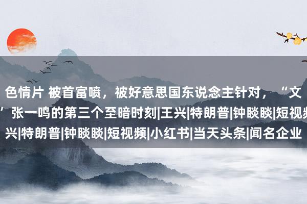 色情片 被首富喷，被好意思国东说念主针对， “文化出海第一东说念主” 张一鸣的第三个至暗时刻|王兴|特朗普|钟睒睒|短视频|小红书|当天头条|闻名企业