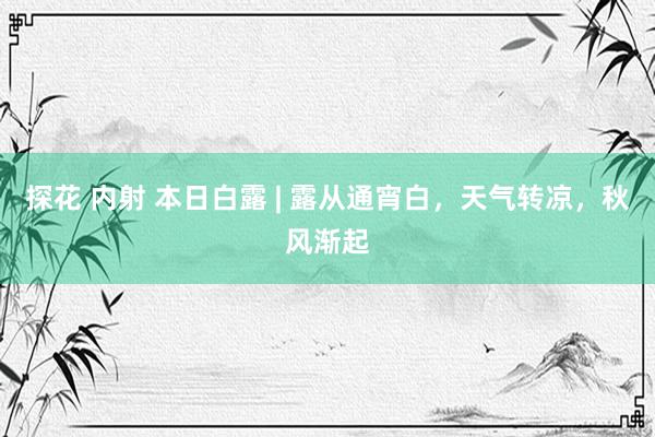 探花 内射 本日白露 | 露从通宵白，天气转凉，秋风渐起