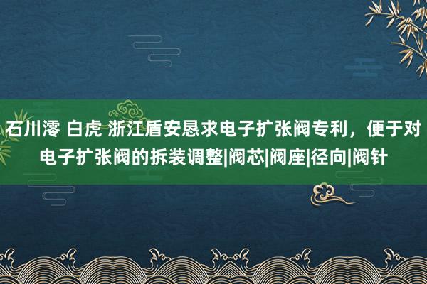 石川澪 白虎 浙江盾安恳求电子扩张阀专利，便于对电子扩张阀的拆装调整|阀芯|阀座|径向|阀针