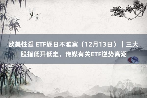 欧美性爱 ETF逐日不雅察（12月13日）｜三大股指低开低走，传媒有关ETF逆势高潮