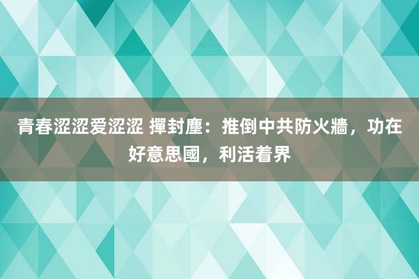 青春涩涩爱涩涩 撣封塵：推倒中共防火牆，功在好意思國，利活着界