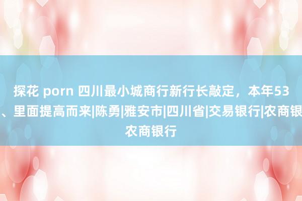探花 porn 四川最小城商行新行长敲定，本年53岁、里面提高而来|陈勇|雅安市|四川省|交易银行|农商银行