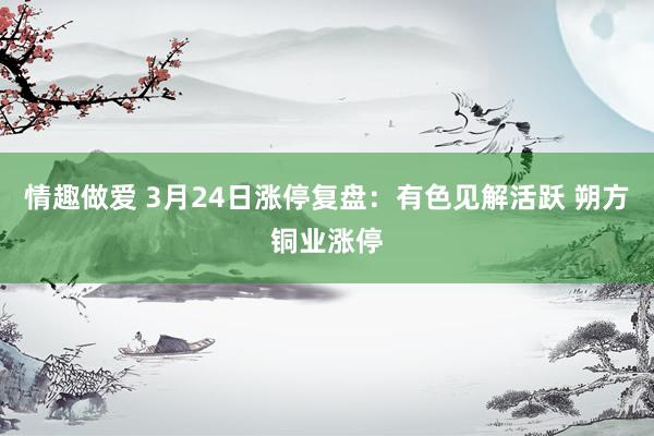 情趣做爱 3月24日涨停复盘：有色见解活跃 朔方铜业涨停