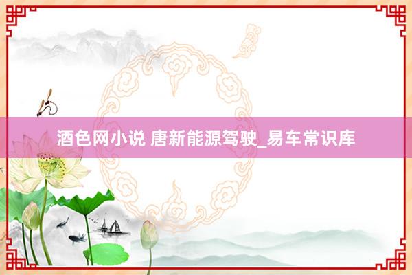 酒色网小说 唐新能源驾驶_易车常识库