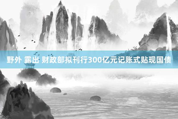 野外 露出 财政部拟刊行300亿元记账式贴现国债