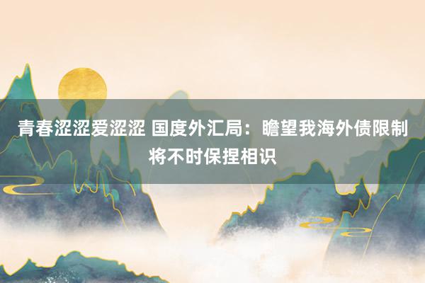 青春涩涩爱涩涩 国度外汇局：瞻望我海外债限制将不时保捏相识